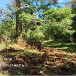 LOTE 0017 - terras rurais, situada na localidade denominada “Arroio do Gado”, no município de General Carneiro, desta Comarca de União da Vitória, Estado do Paraná, com a área de 108.900,00mts²