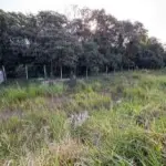 LOTE 0020 - Terreno de 2286,36m², na Avenida Getulio Vargas, S/N, João Paulo II, Irati/PR.