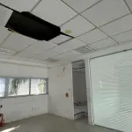 LOTE 001 - IMÓVEL COMERCIAL NA RUA JOE COLLAÇO, Nº 968, SANTA MÔNICA – FLORIANÓPOLIS – SC