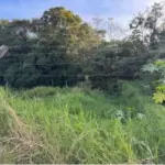LOTE 0021 - Terreno de  267,61m²,  na Avenida Getulio Vargas, S/N, João Paulo II, Irati/PR.