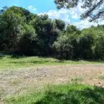 IMÓVEL 18.242,00M², SITUADO NA RUA ROBERTO FERREIRA DE  LIMA,  FUNDOS,  COMARCA DE RIO  NEGRINHO.
