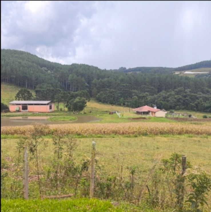 Leilão 2ª Cível de Campos Novos- Terreno rural 186.855m², LINHA RIO BUGRE, 0, INTERIOR, Caçador/SC - 89500000