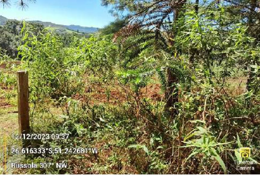 Terras Rurais, Situada Na Localidade Denominada “arroio Do Gado”, No Município De General Carneiro, Desta Comarca De União Da Vitória, Estado Do Paraná, Com A Área De 108.900,00mts², localizado em União Da Vitória - PR