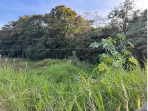 Terreno De 267,61m², Na Avenida Getulio Vargas, S/n, João Paulo Ii, Irati/pr., localizado em Irati - PR