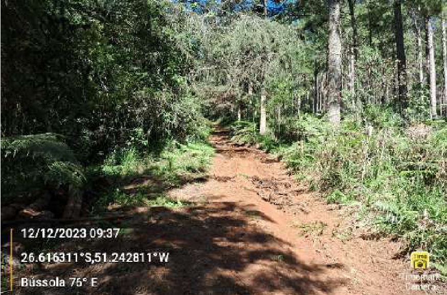 Terras Rurais, Situada Na Localidade Denominada “arroio Do Gado”, No Município De General Carneiro, Desta Comarca De União Da Vitória, Estado Do Paraná, Com A Área De 108.900,00mts², localizado em União Da Vitória - PR