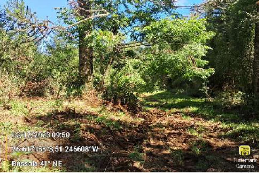 Terras Rurais, Situada Na Localidade Denominada “arroio Do Gado”, No Município De General Carneiro, Desta Comarca De União Da Vitória, Estado Do Paraná, Com A Área De 108.900,00mts², localizado em União Da Vitória - PR