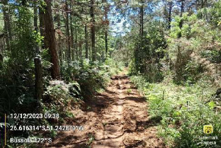Terras Rurais, Situada Na Localidade Denominada “arroio Do Gado”, No Município De General Carneiro, Desta Comarca De União Da Vitória, Estado Do Paraná, Com A Área De 108.900,00mts², localizado em União Da Vitória - PR