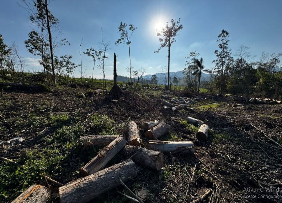 Terreno Rural 6,208500 Ha, Na Linha Ribeirão Da Prata, Rio Da Prata, No Interior Do Município De Rio Do Campo/sc, localizado em Rio Do Campo - SC
