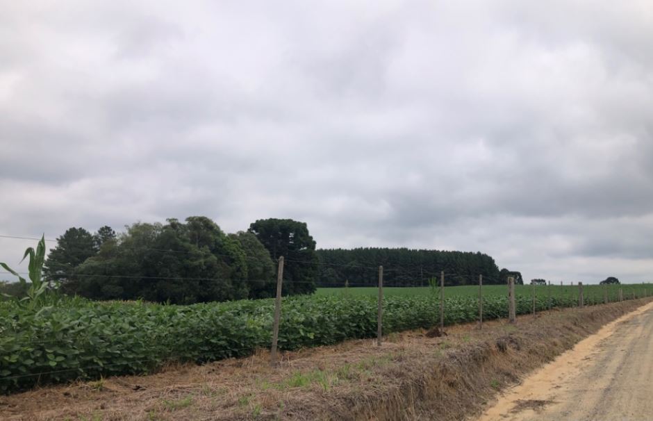 Imóvel Rural 70.111,49m², Mafra/sc., localizado em Mafra - SC