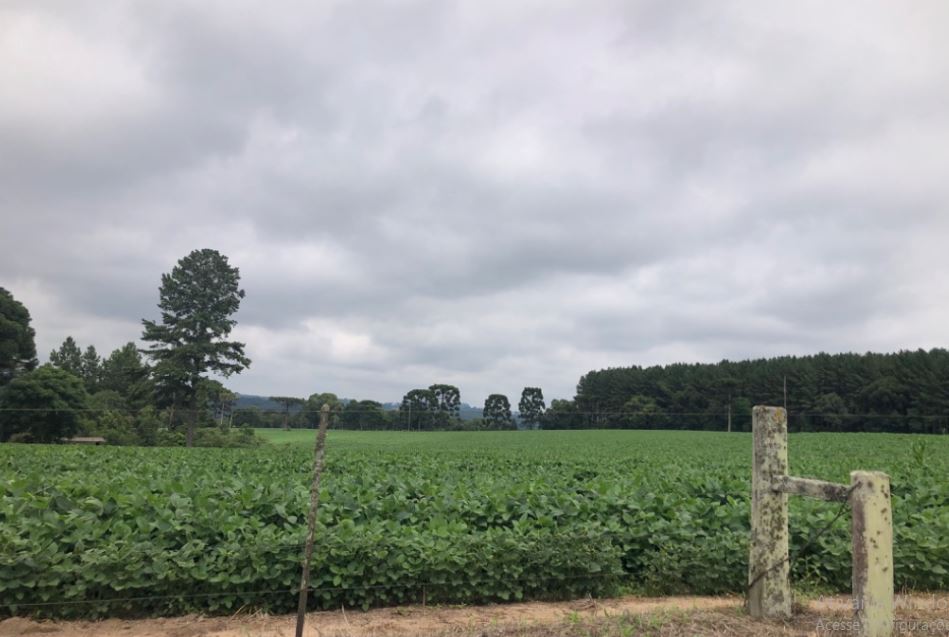 Imóvel Rural 70.111,49m², Mafra/sc., localizado em Mafra - SC