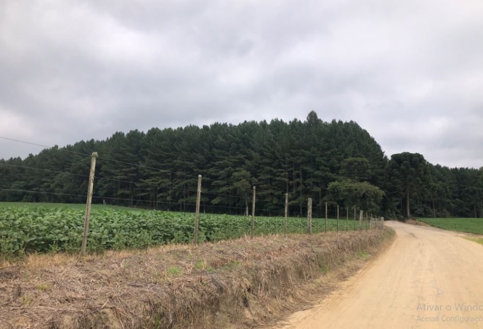 Imóvel Rural 70.111,49m², Mafra/sc., localizado em Mafra - SC