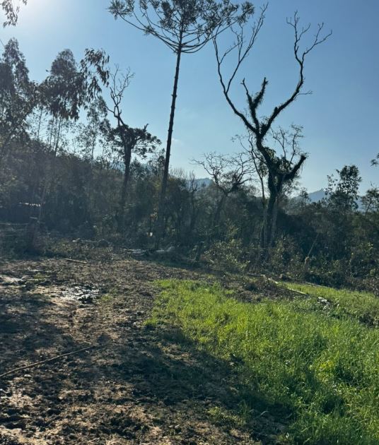 Terreno Rural 6,208500 Ha, Na Linha Ribeirão Da Prata, Rio Da Prata, No Interior Do Município De Rio Do Campo/sc, localizado em Rio Do Campo - SC