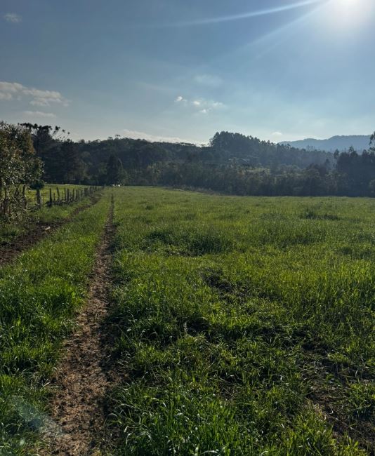Terreno Rural 6,208500 Ha, Na Linha Ribeirão Da Prata, Rio Da Prata, No Interior Do Município De Rio Do Campo/sc, localizado em Rio Do Campo - SC