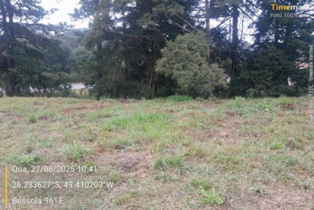 Terreno 997,380 M², Na Rua Ambrósio Augusto Da Silva, Serra Alta, São Bento Do Sul/sc., localizado em São Bento Do Sul - SC, bairro Serra Alta