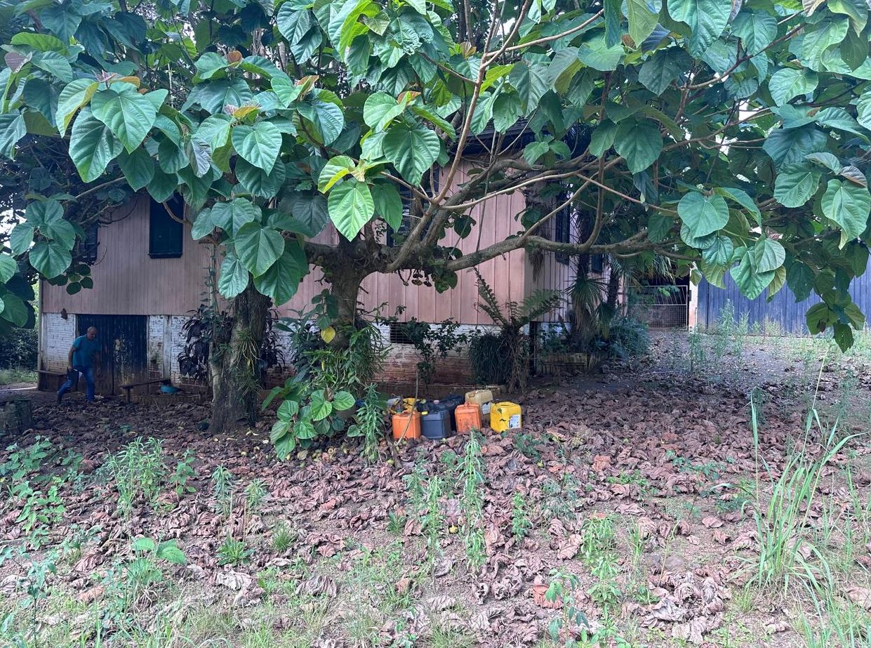Foto 13